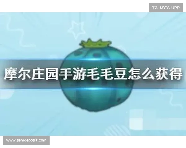 揭秘摩尔庄园毛毛豆的收集技巧与高效方法全攻略 揭秘摩尔庄园毛毛豆的收集技巧与高效方法全攻略