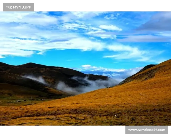 生命与救赎的觉醒之路:杜恩心灵转变与启发的深刻旅程 生命与救赎的觉醒之路:杜恩心灵转变与启发的深刻旅程